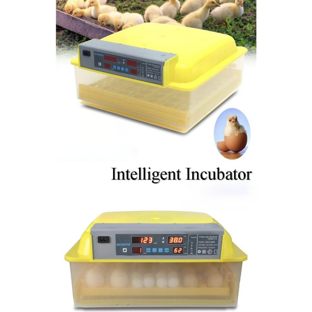 Inkubator na 56 jaj z regulacją temperatury i wilgotności